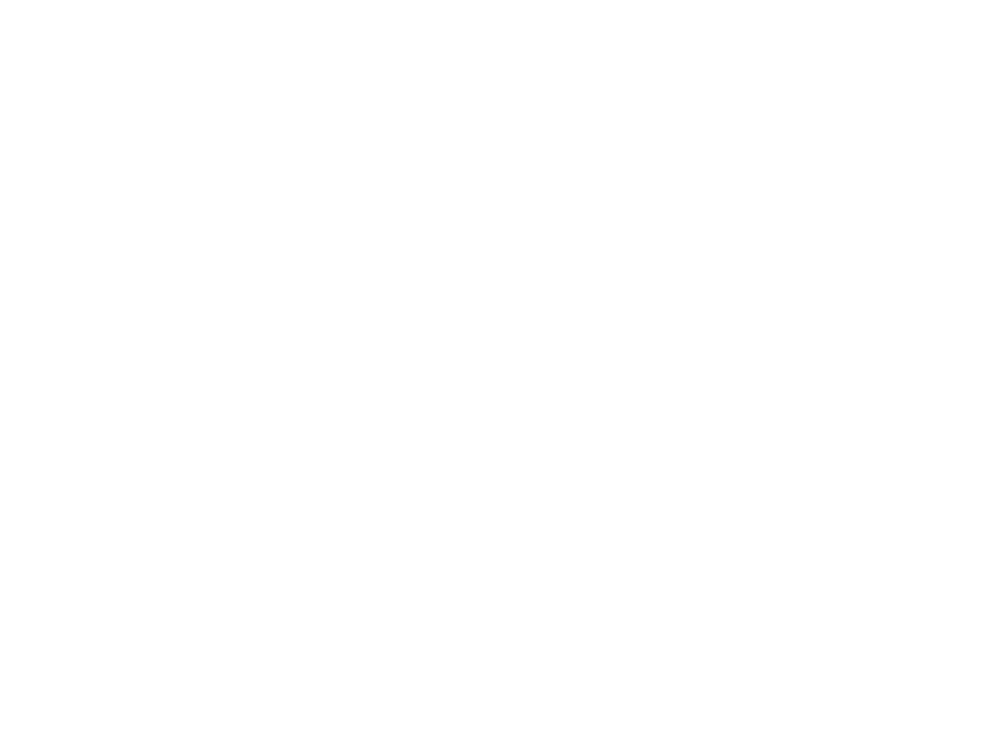 Webwiskee logo